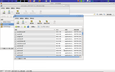 win32codecs的解码器
