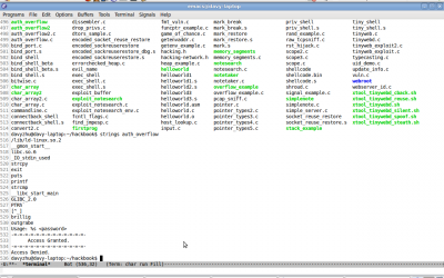 terminal bash