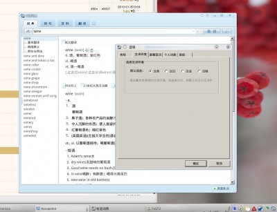 youdao4.jpg