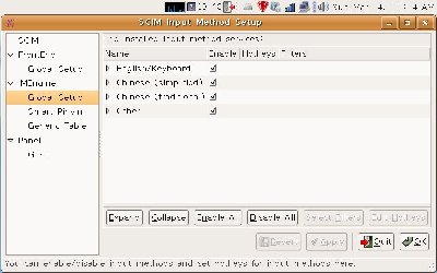 scim-problem.jpg