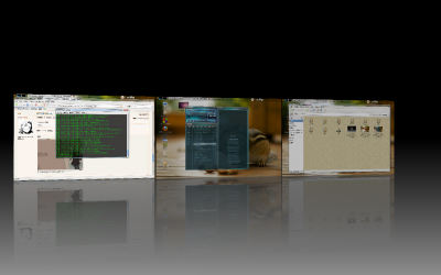 2010-03-13-144243_1280x800_scrot.png